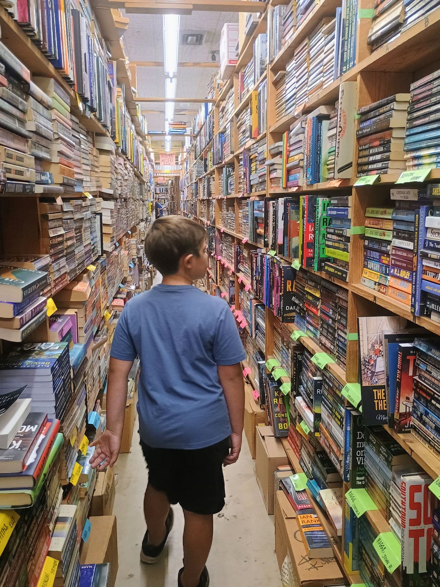 A child browsing a bookshop
